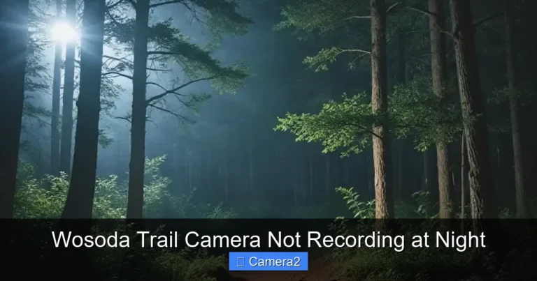 Wosoda Trail Camera Not Recording at Night