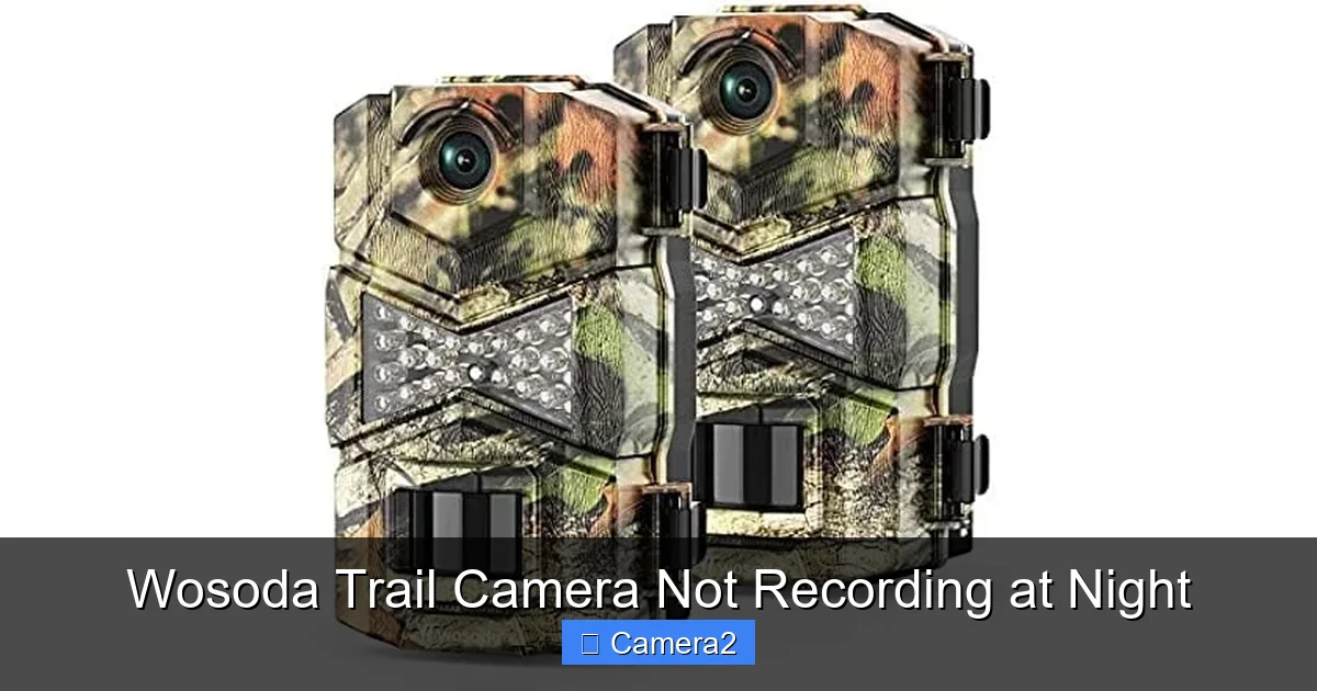 Wosoda Trail Camera Not Recording at Night