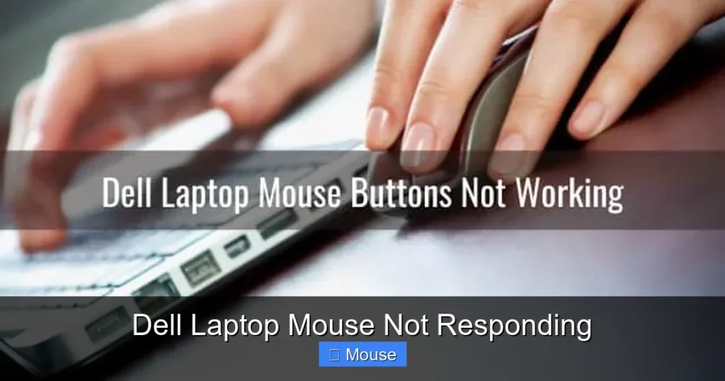 Dell Laptop Mouse Not Responding