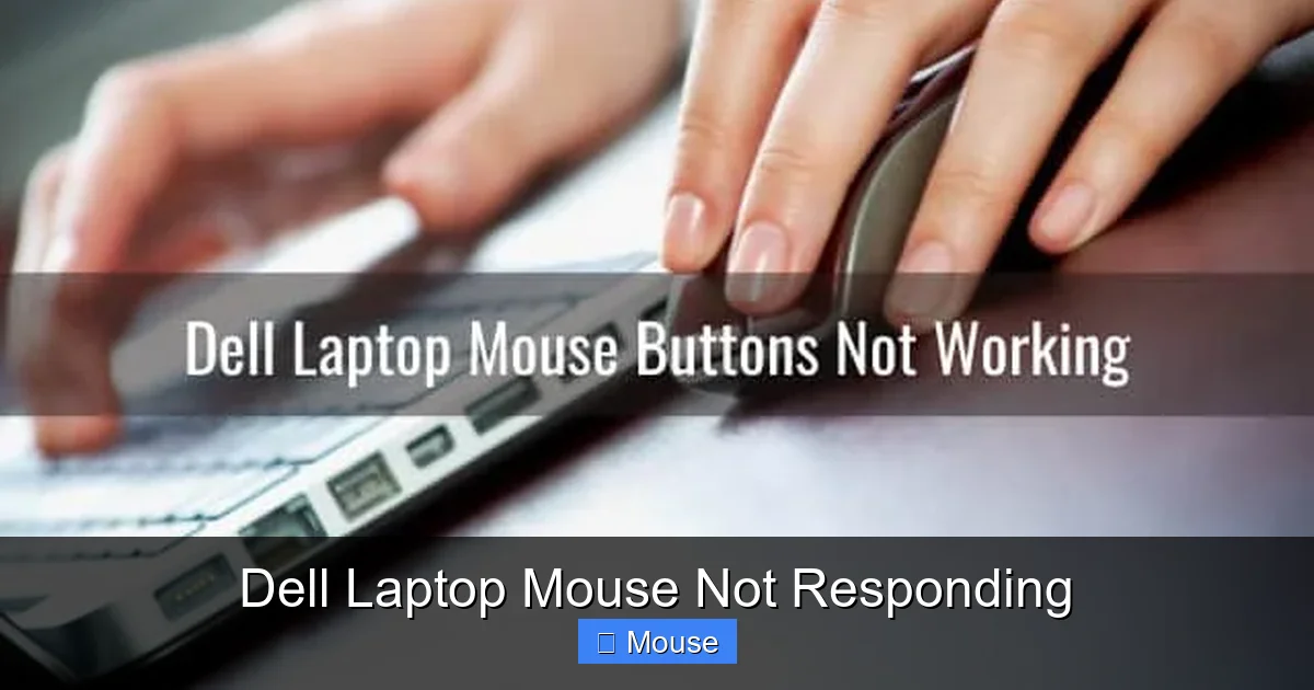Dell Laptop Mouse Not Responding