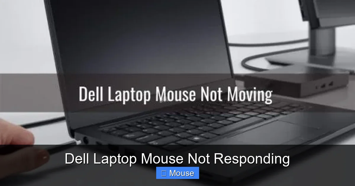 Dell Laptop Mouse Not Responding