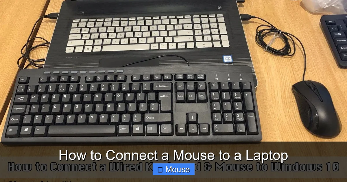 How to Connect a Mouse to a Laptop