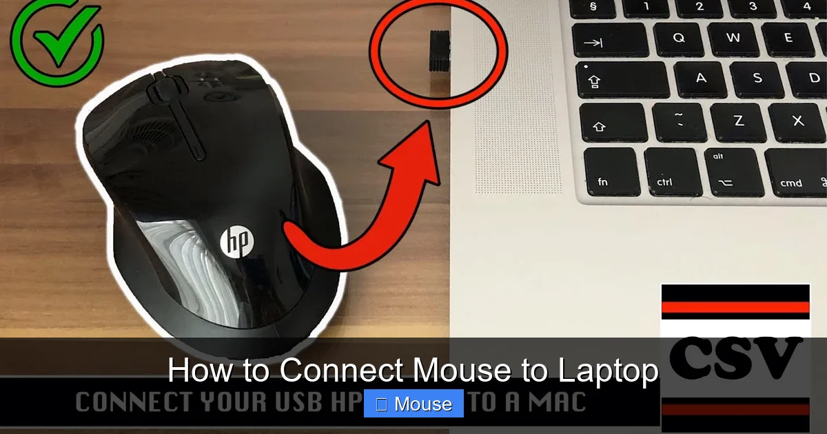 How to Connect Mouse to Laptop