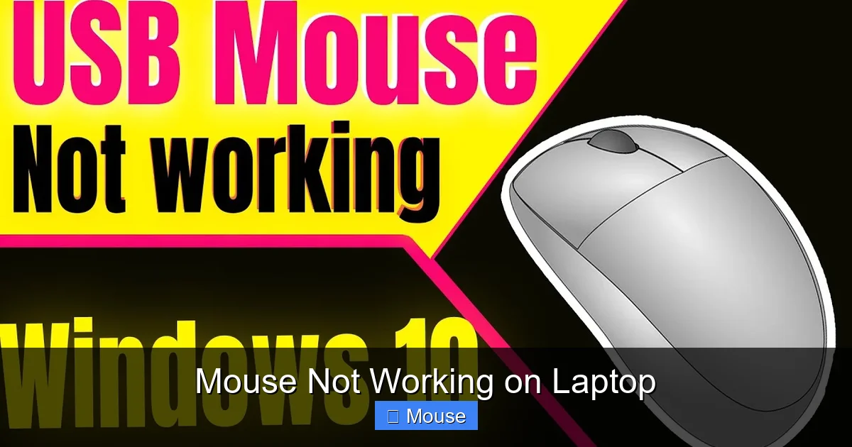 Mouse Not Working on Laptop