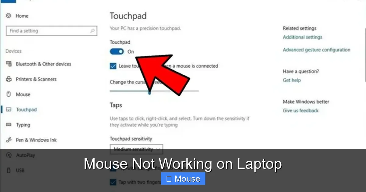 Mouse Not Working on Laptop