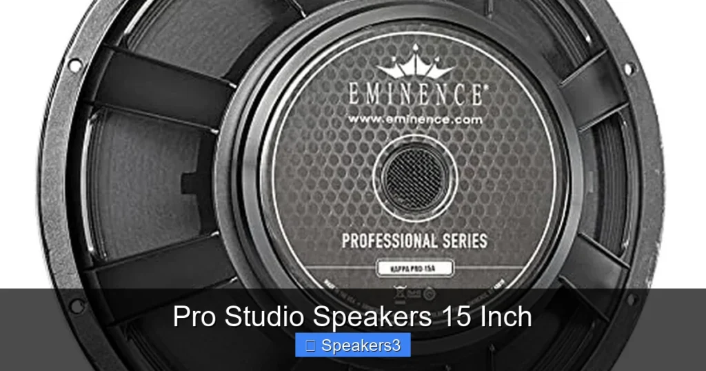 Pro Studio Speakers 15 Inch