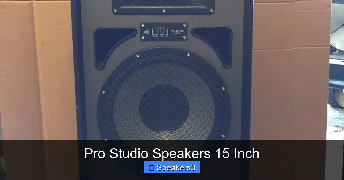 Pro Studio Speakers 15 Inch