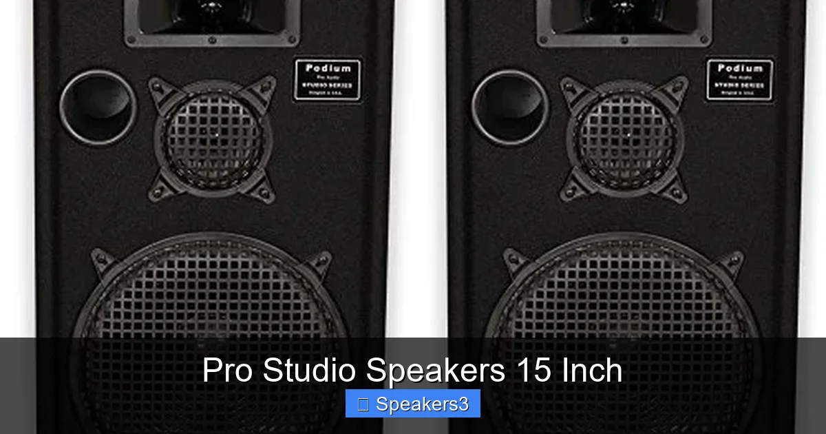 Pro Studio Speakers 15 Inch
