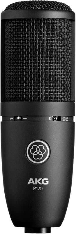 AKG P120 2/3-Inch Condenser Mic for Clear Vocals & Instruments Studio 