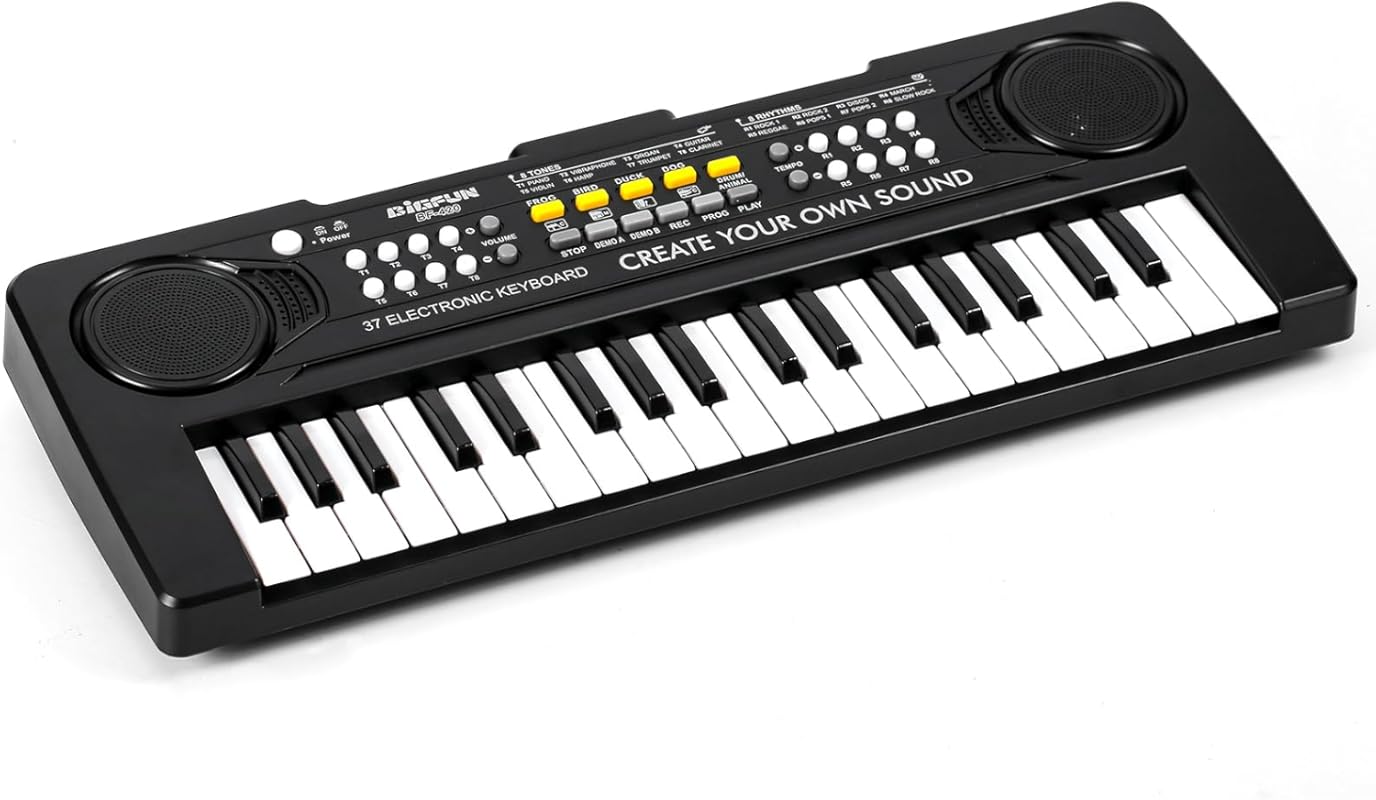 Raimy 37 Keys Kids Keyboard Piano for Early Learning, Ages 3-9, Portab