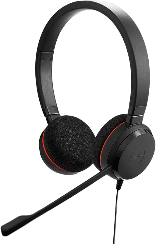 Jabra Evolve 20 Wired Headset: Dual-Ear, Call Control, USB-C/A for Off