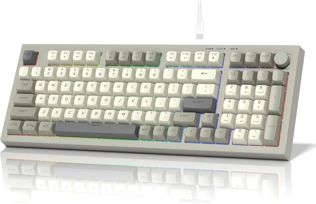 Womier DK98 Retro Wired Gaming Keyboard: Creamy Membrane, Rainbow RGB, Quiet, Volume Knob, PBT Keycaps, 97-Key ANSI