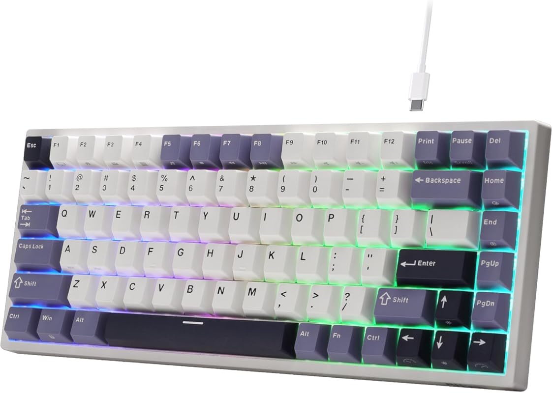 RK ROYAL KLUDGE C96 HE Mechanical Gaming Keyboard