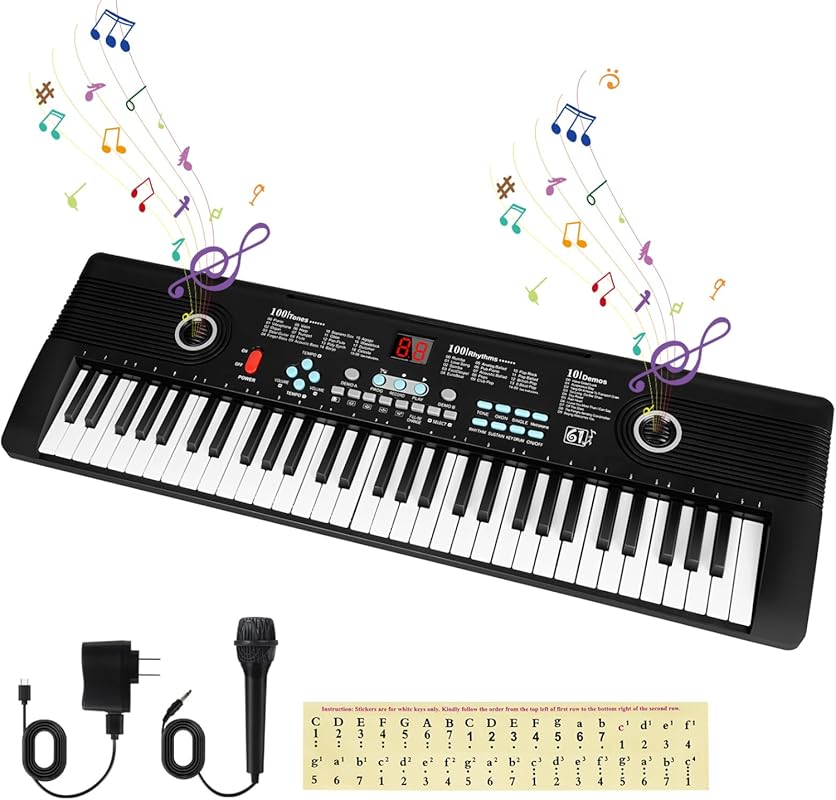 61-Key Portable Digital Piano with Dual Speakers, External Microphone,