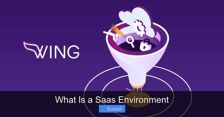 What Is a Saas Environment