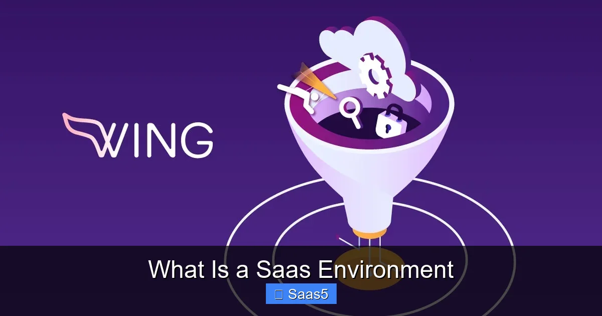 What Is a Saas Environment