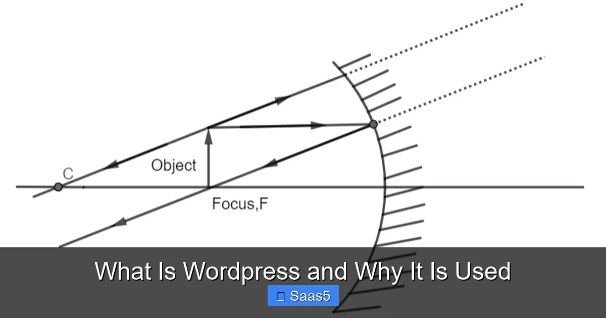 What Is WordPress and Why It Is Used