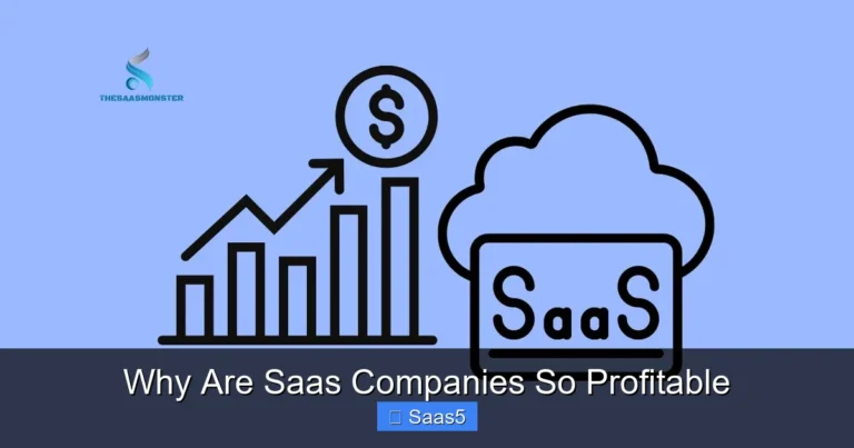 Why Are Saas Companies So Profitable