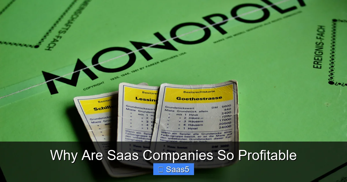 Why Are Saas Companies So Profitable
