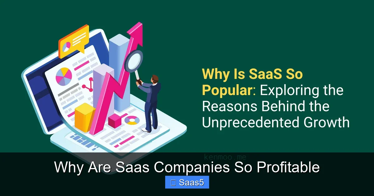 Why Are Saas Companies So Profitable