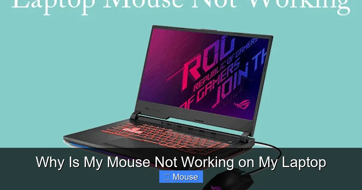 Why Is My Mouse Not Working on My Laptop