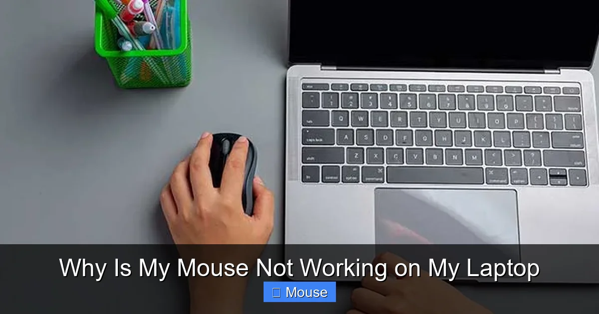 Why Is My Mouse Not Working on My Laptop