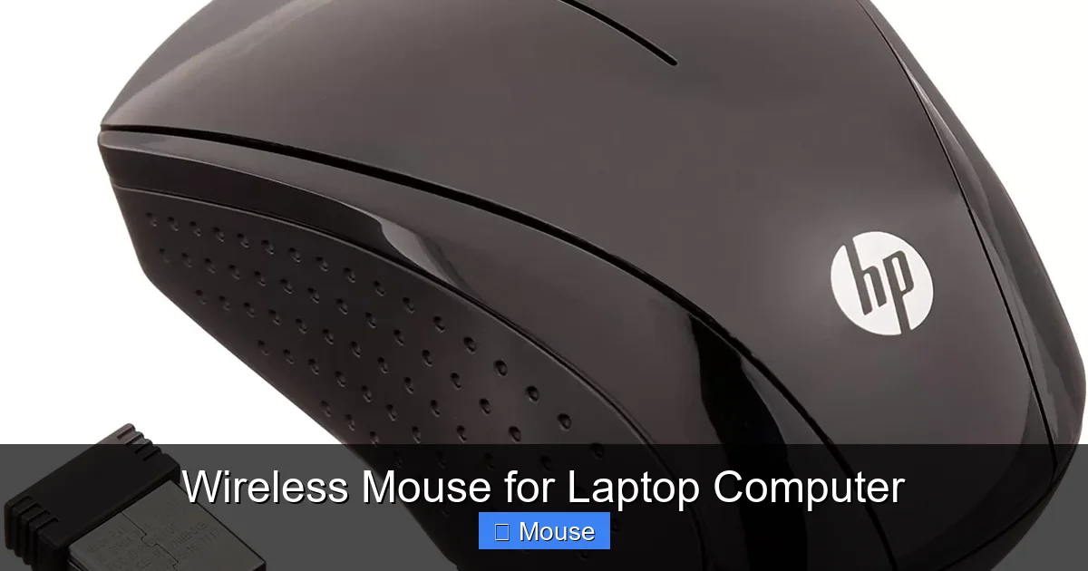 Wireless Mouse for Laptop Computer