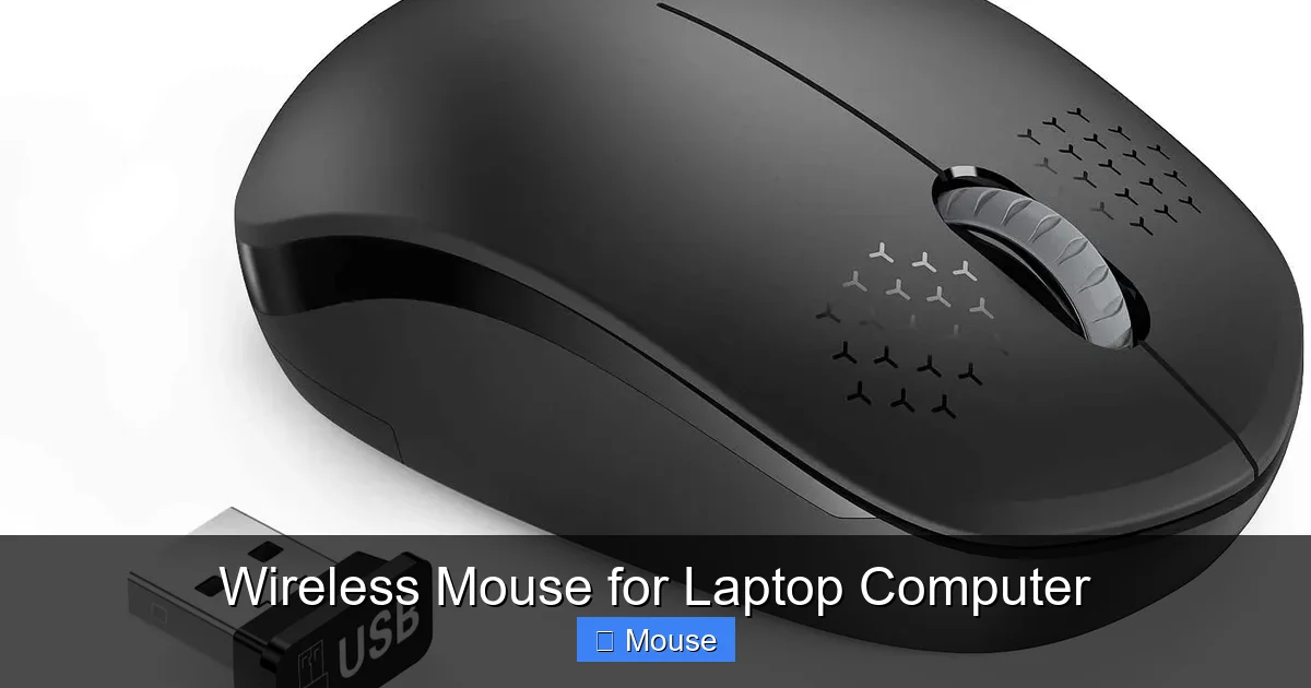 Wireless Mouse for Laptop Computer