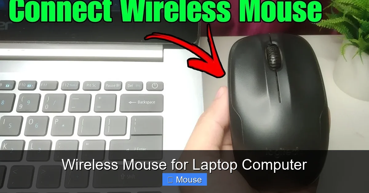 Wireless Mouse for Laptop Computer