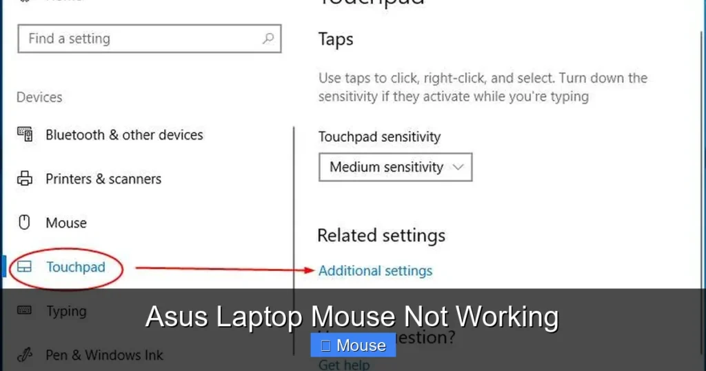 Asus Laptop Mouse Not Working