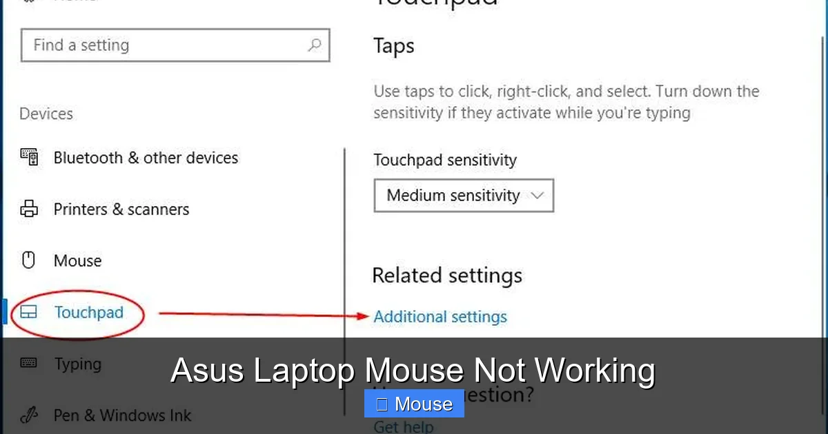 Asus Laptop Mouse Not Working