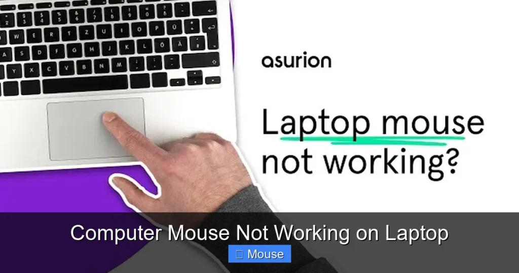 Computer Mouse Not Working on Laptop