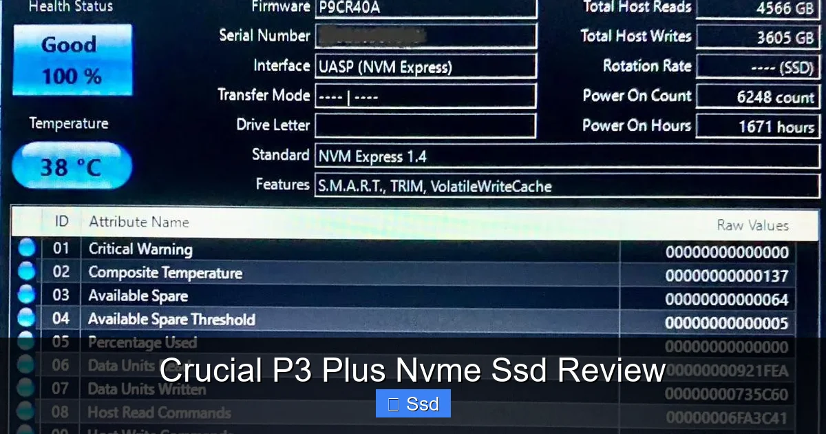 Crucial P3 Plus Nvme Ssd Review
