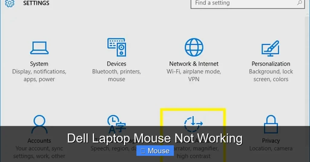 Dell Laptop Mouse Not Working