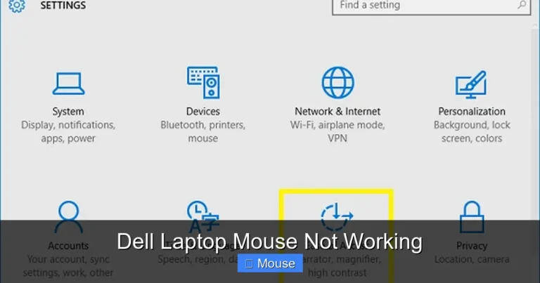 Dell Laptop Mouse Not Working