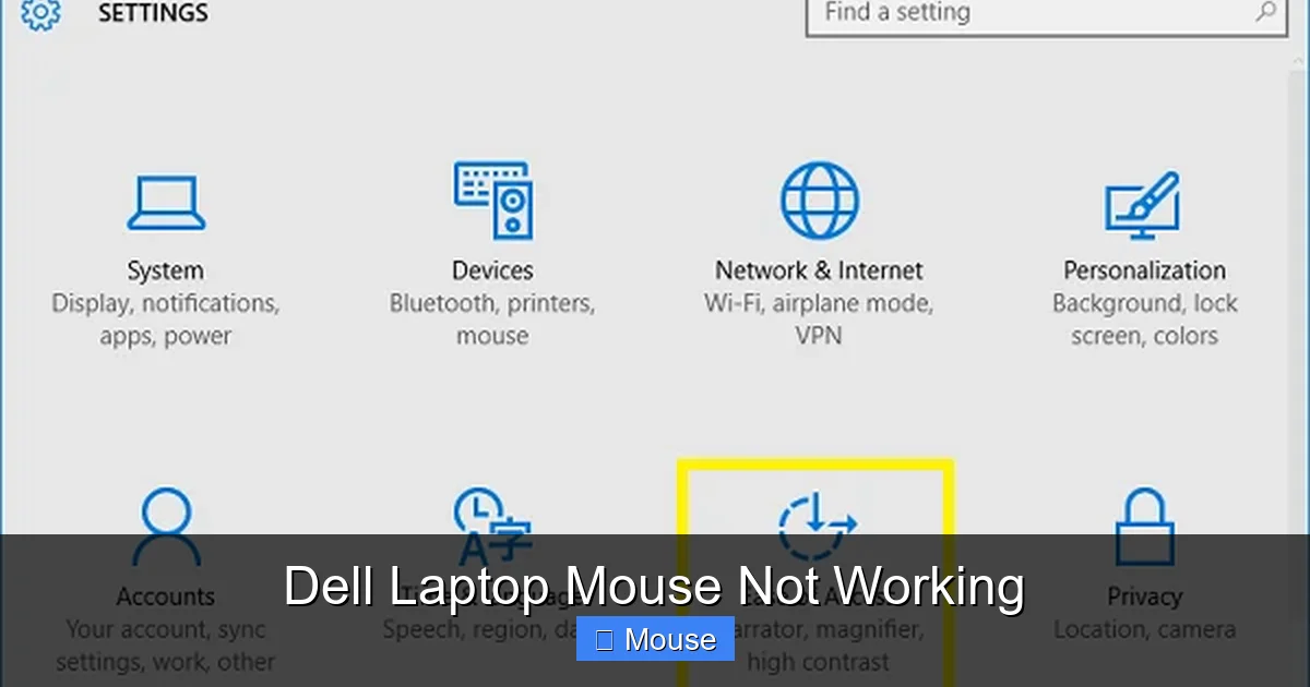 Dell Laptop Mouse Not Working