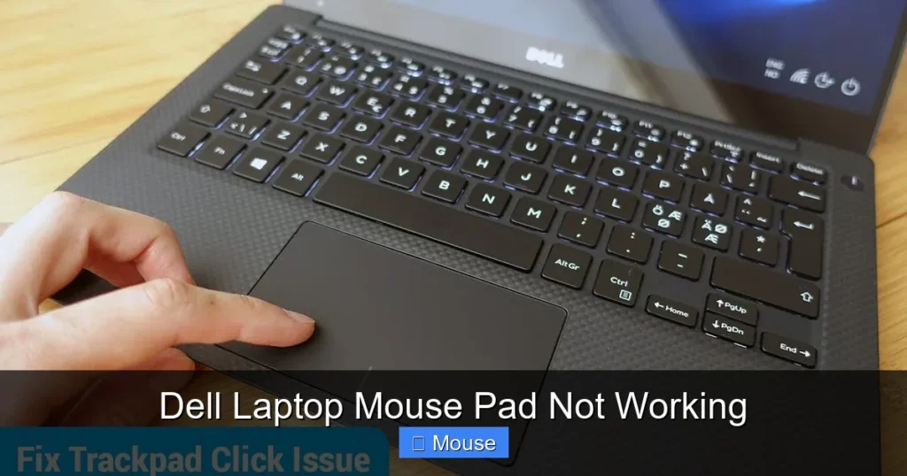 Dell Laptop Mouse Pad Not Working