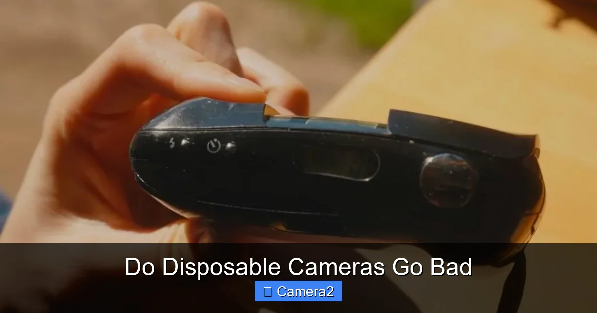 Do Disposable Cameras Go Bad