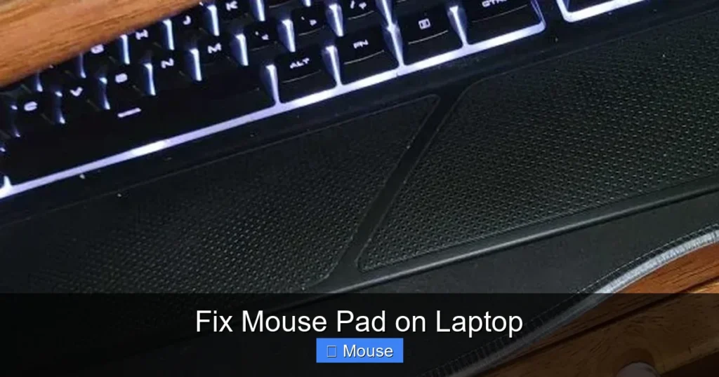 Fix Mouse Pad on Laptop