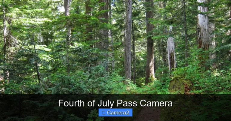 Fourth of July Pass Camera