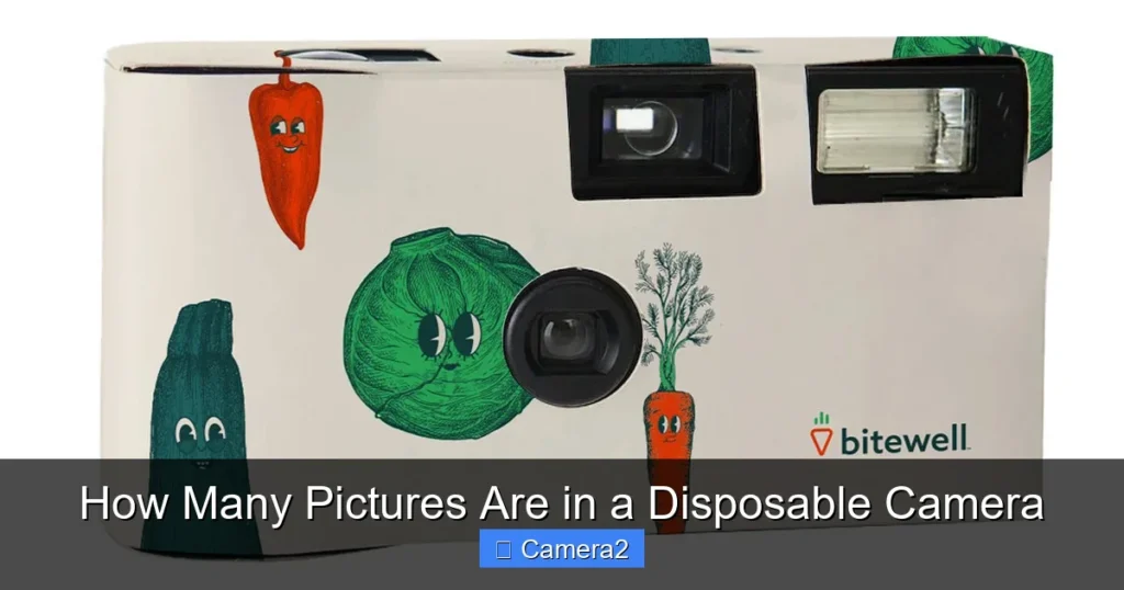 How Many Pictures Are in a Disposable Camera