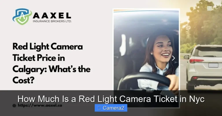 How Much Is a Red Light Camera Ticket in Nyc