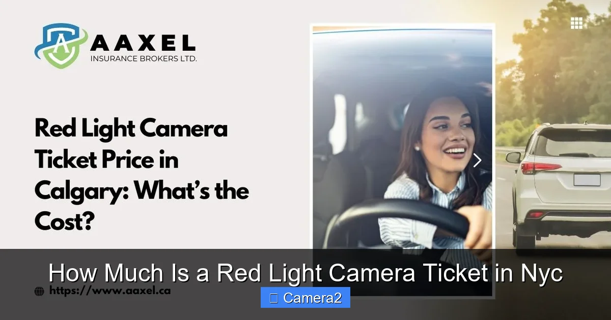How Much Is a Red Light Camera Ticket in Nyc