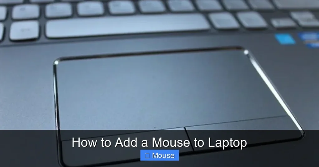 How to Add a Mouse to Laptop