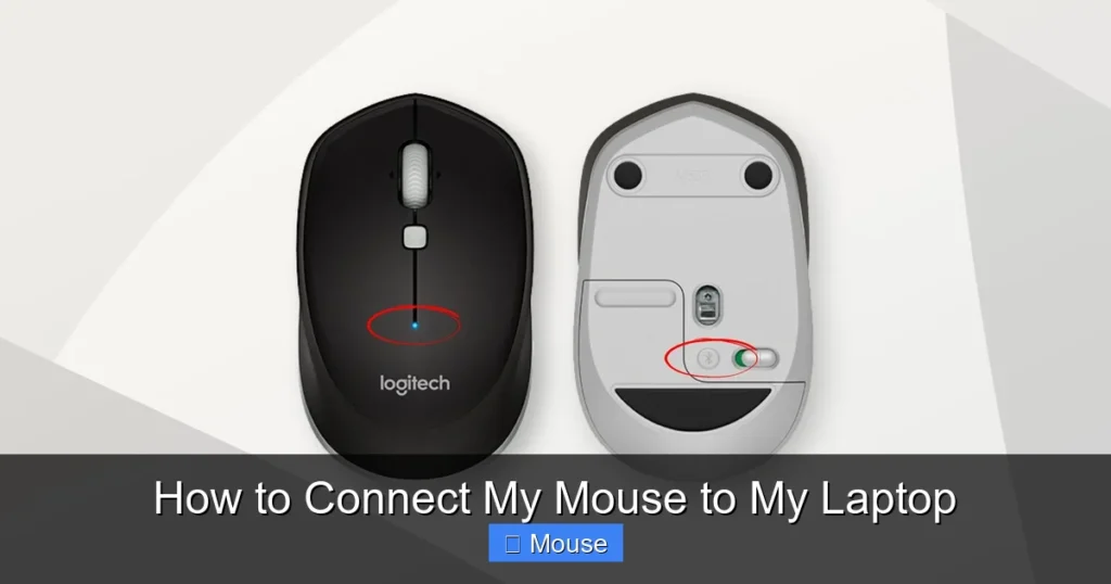 How to Connect My Mouse to My Laptop