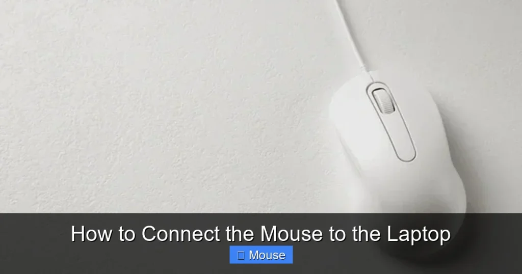 How to Connect the Mouse to the Laptop