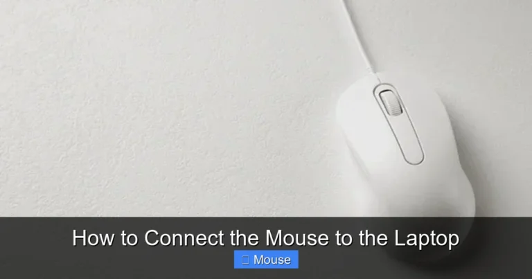 How to Connect the Mouse to the Laptop
