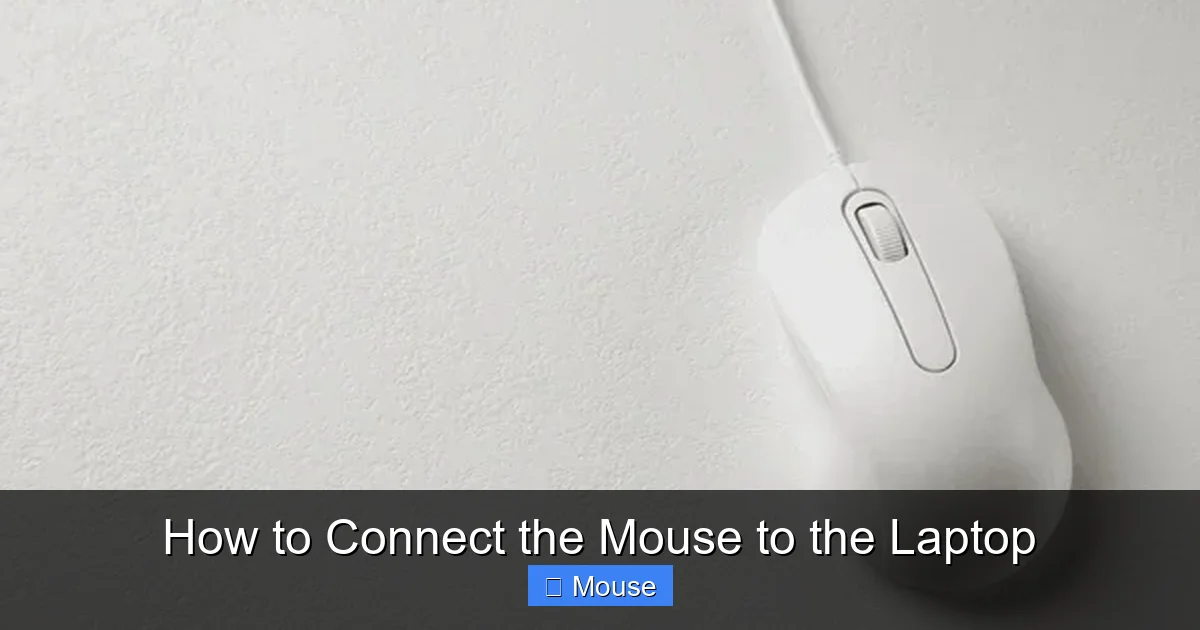 How to Connect the Mouse to the Laptop