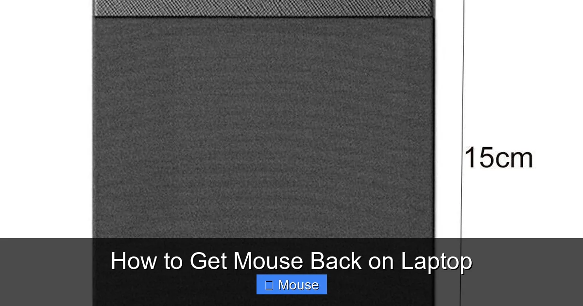 How to Get Mouse Back on Laptop