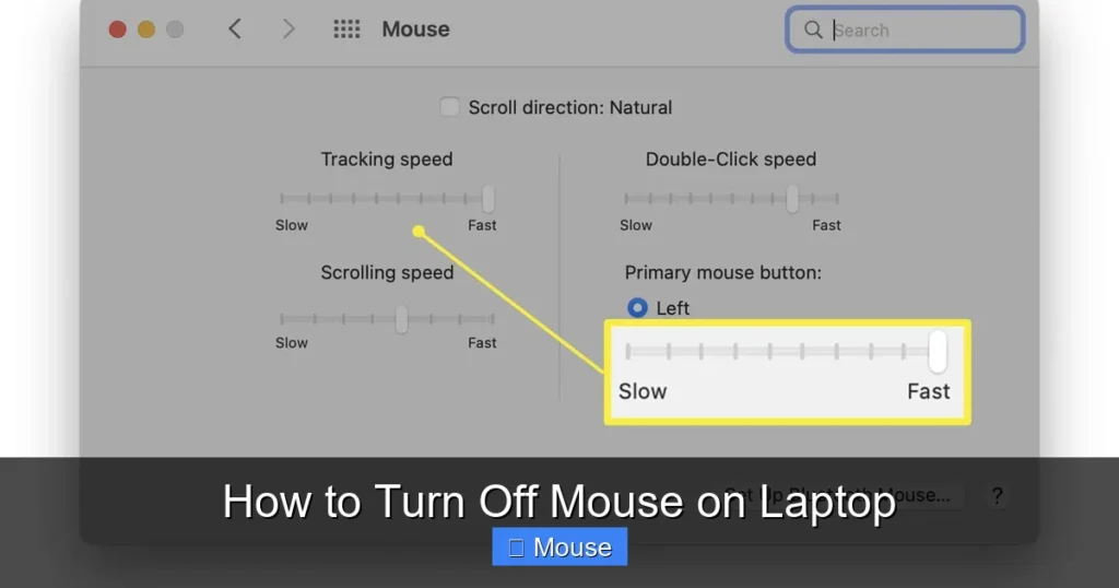 How to Turn Off Mouse on Laptop